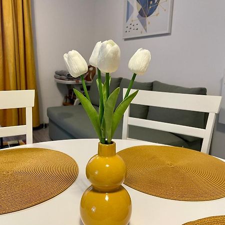 Apartament Mara Băile Felix Eksteriør bilde